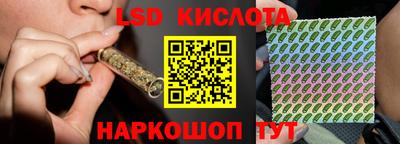 СК Вышний Волочёк