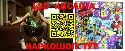 СК Вышний Волочёк