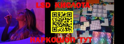 СК Вышний Волочёк