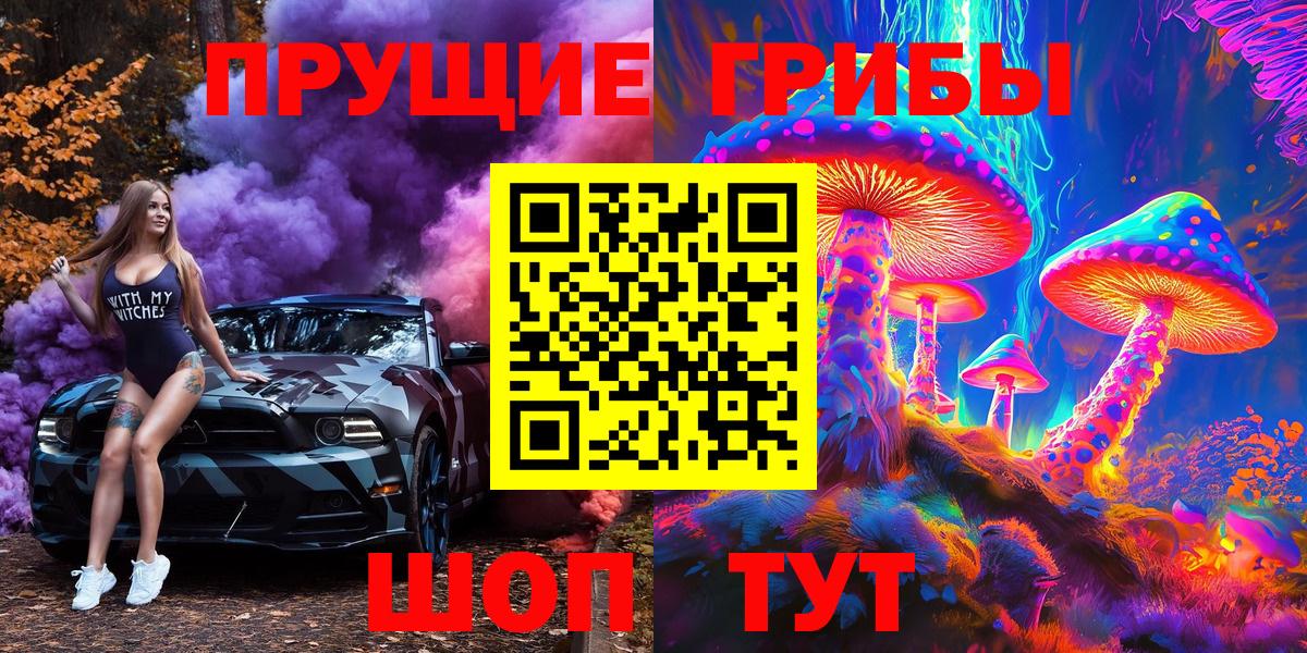 сколько стоит  Вход с VPN  Бугуруслан  Псилоцибиновые грибы мицелий 
